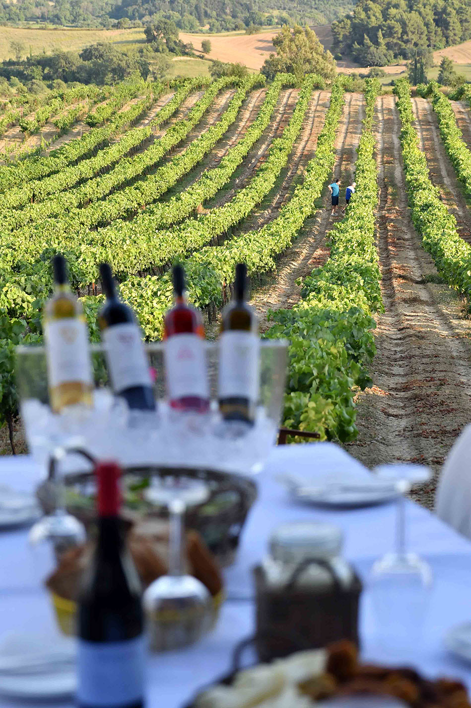Winetasting